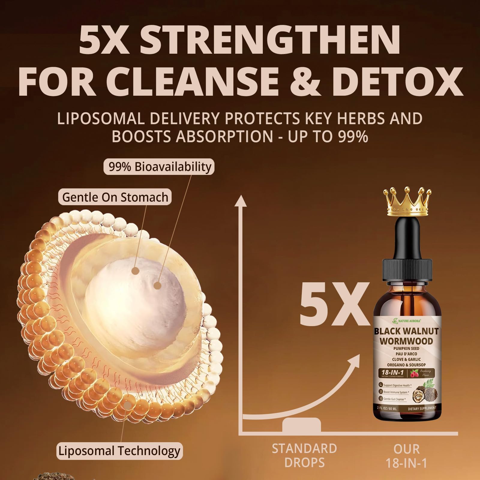Nature Aurora three-phase detox layout; supports morning, daytime, and nighttime wellness.