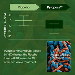 Nature Captured H Pylori Control bottle top view; compact travel-friendly container.