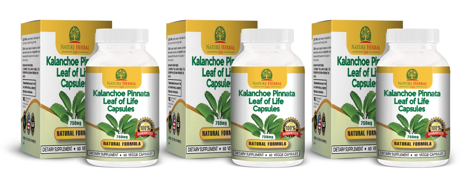 Nature Herbal Life 3-bottles pack for a 90-day supply