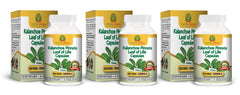 Nature Herbal Life 3-bottles pack for a 90-day supply