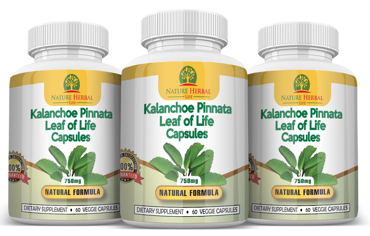 Nature Herbal Life Cathedral Bells capsules ready for daily wellness