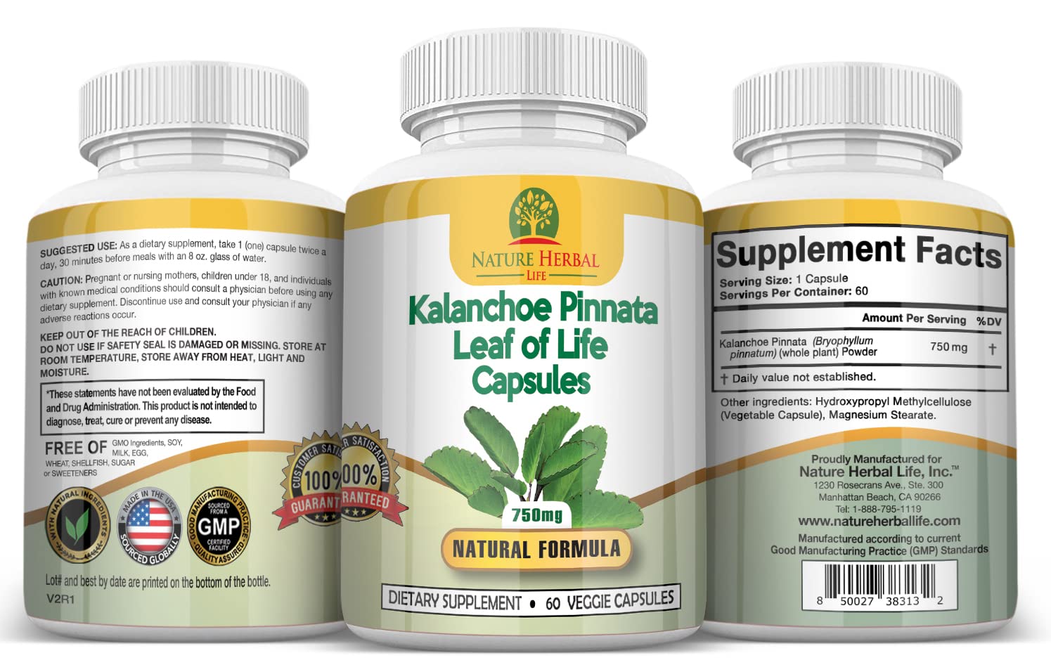 Nature Herbal Life detox-focused bottle highlights whole-body cleansing