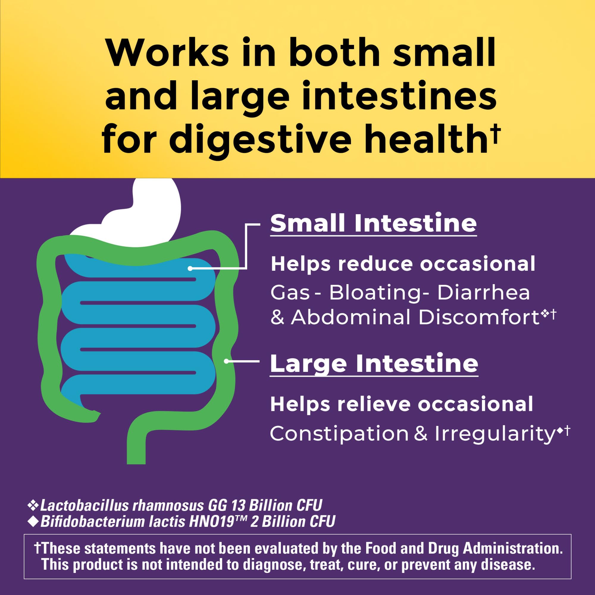 Glass of water with Nature Made Probiotics capsule for daily use.