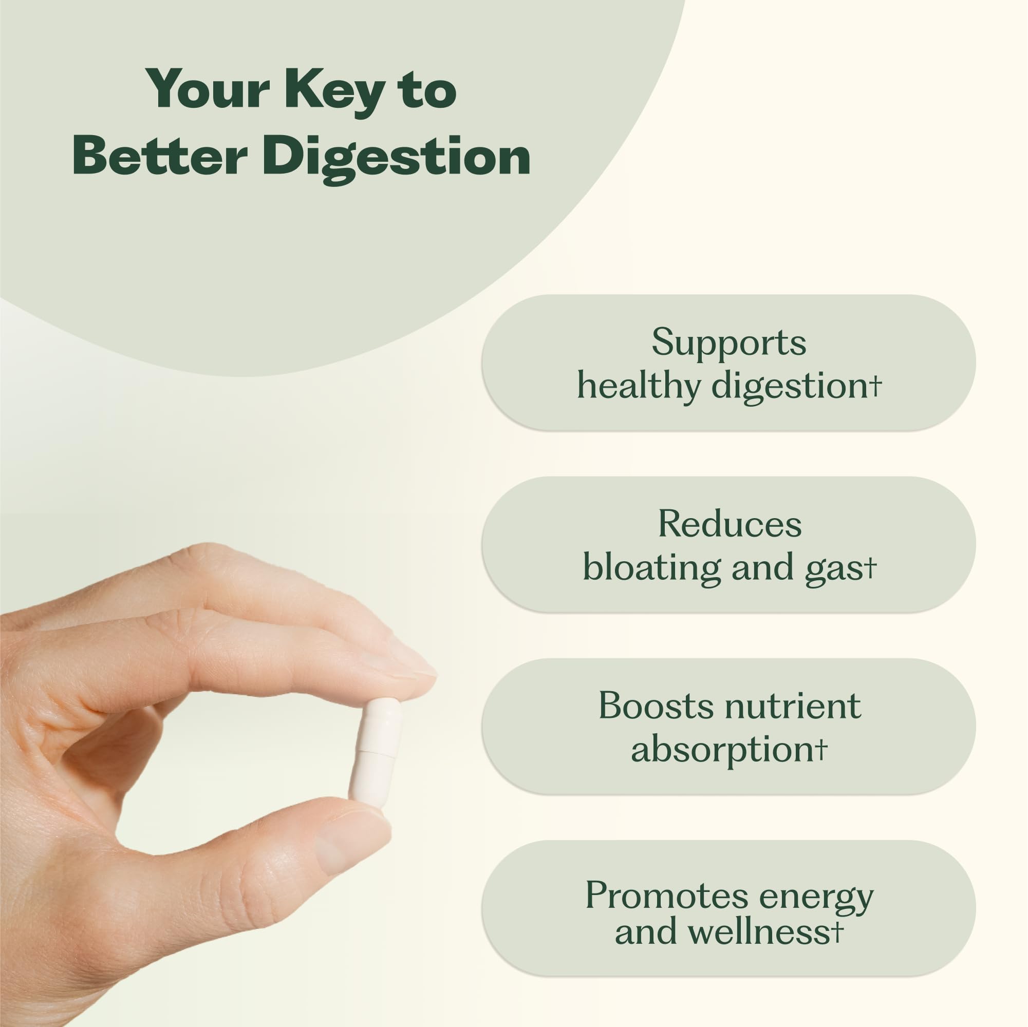 Nature M.D. Enzyme 365 ingredients blend highlights plant-based digestion benefits.