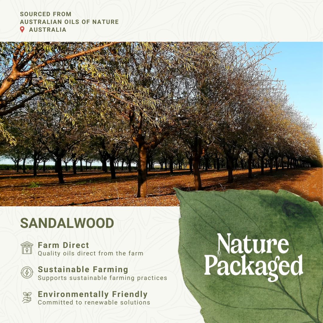 Nature Packaged Sandalwood massage oil ready for spa-like body care.
