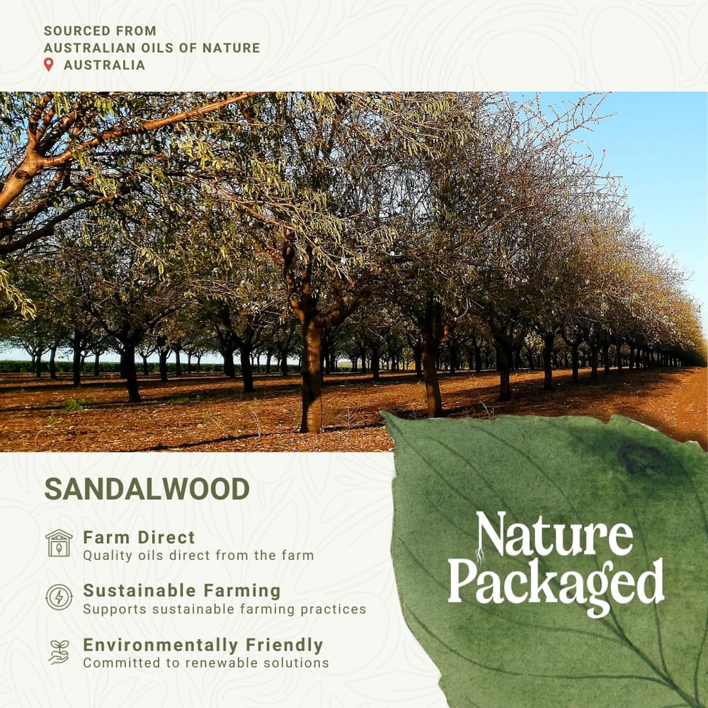 Nature Packaged Sandalwood massage oil ready for spa-like body care.