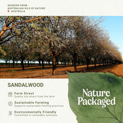 Nature Packaged Sandalwood massage oil ready for spa-like body care.