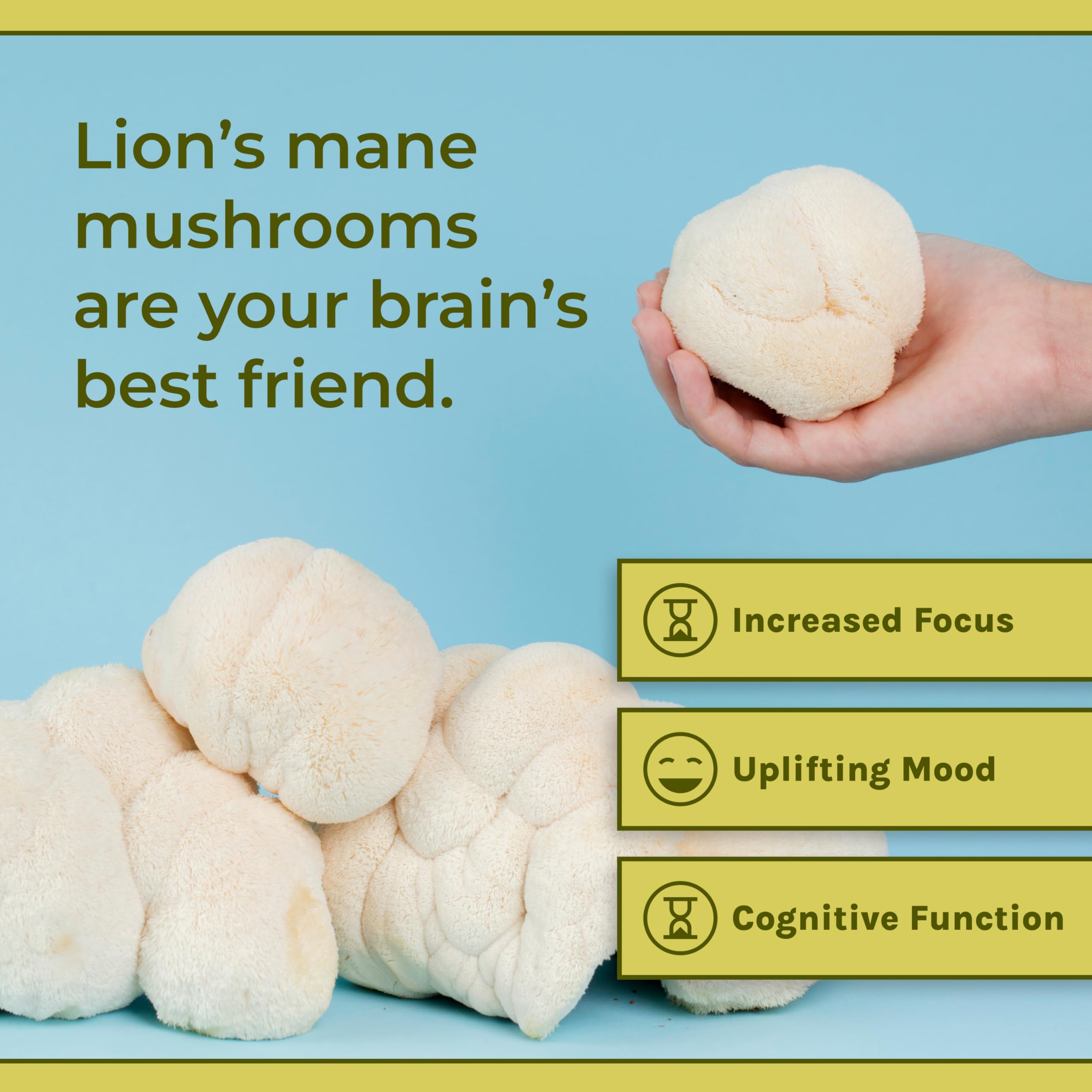 Close-up of Naturealm Lion's Mane capsules ready for daily use.