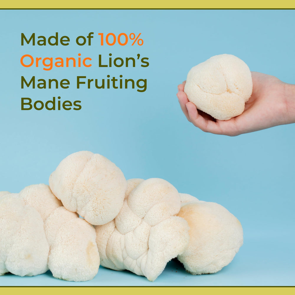 Naturealm Lions Mane product packaging with GMP badge signals quality control.