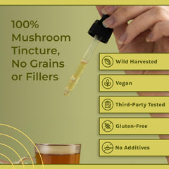 Close-up label detail shows organic, vegan, non-GMO features of Naturealm Reishi
