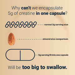 Non-GMO and dairy-free labeling on NatureBell Creatine Capsules for clean choices.