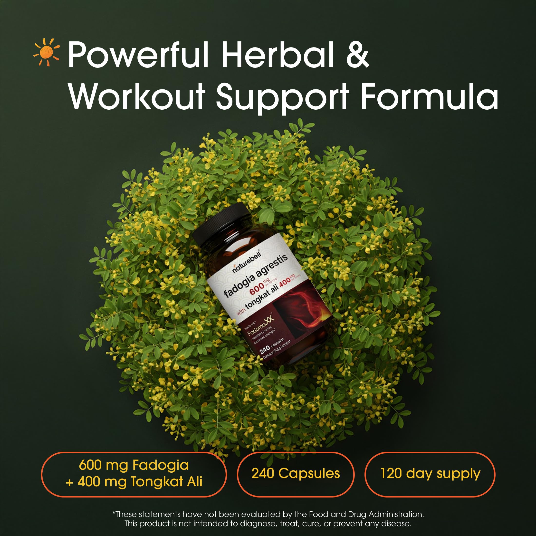 NatureBell Fadogia Agrestis bottle pour suggests easy daily dosing for energy.