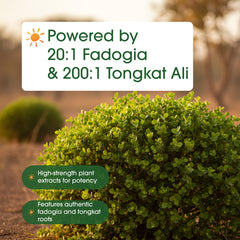 NatureBell Fadogia Agrestis daily-use image suggests simple routine integration.