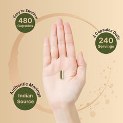NatureBell Organic Moringa leaves, fresh source of natural nutrients.