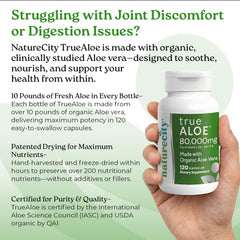 Hand-processed aloe leaves reflect careful sourcing in NatureCity True-Aloe formulation