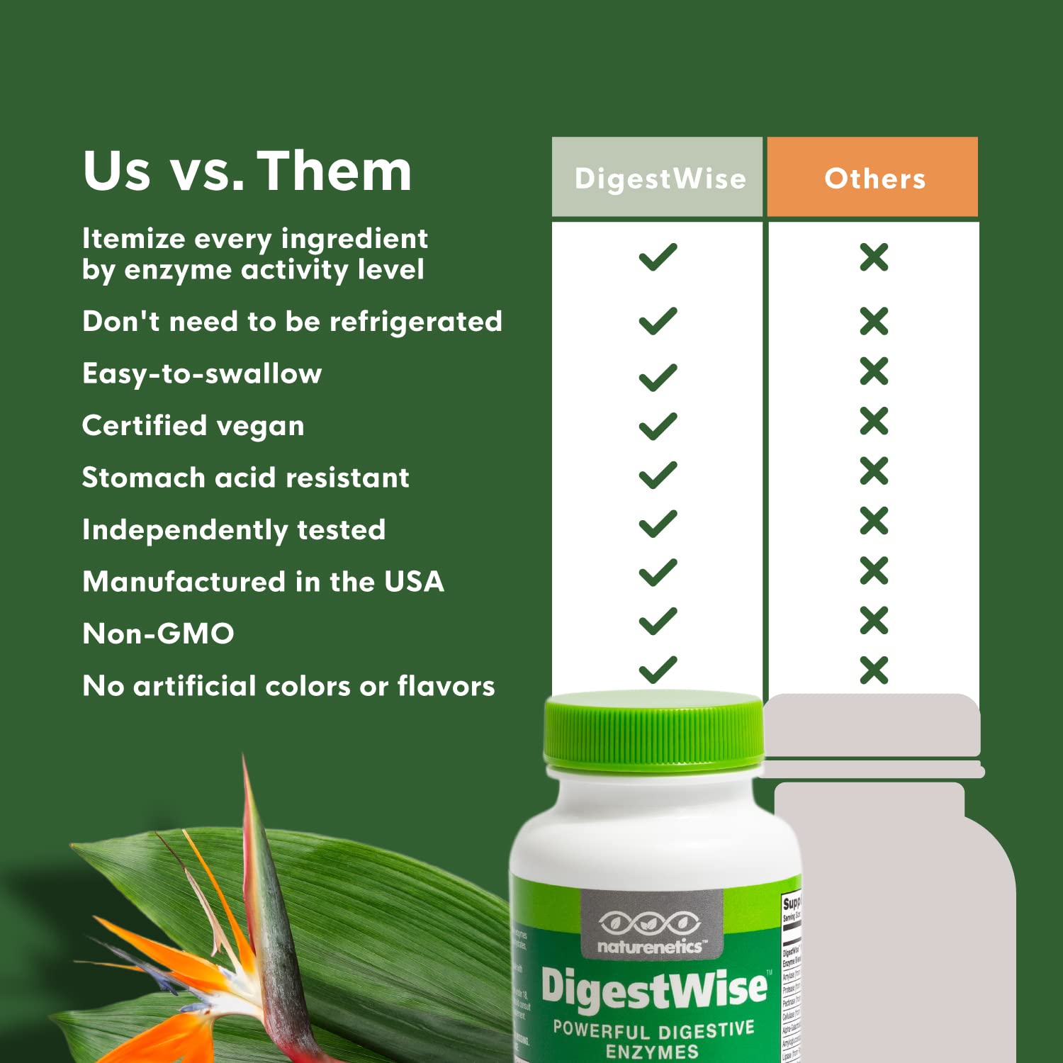 Naturenetics DigestWise ingredients chart illustrating the 10-enzyme blend.