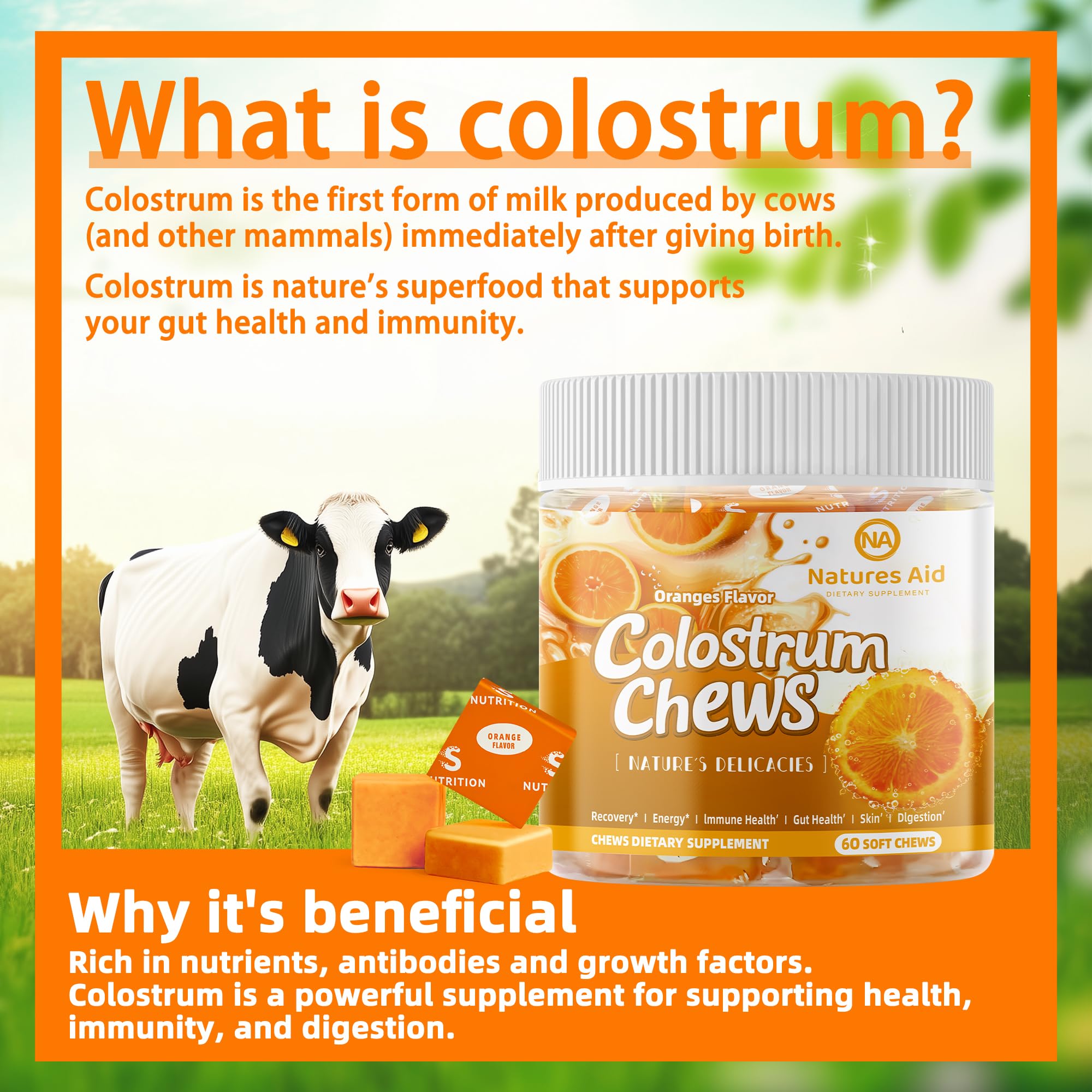 Natures Aid Colostrum Chews orange chews closeup showing chewy texture.