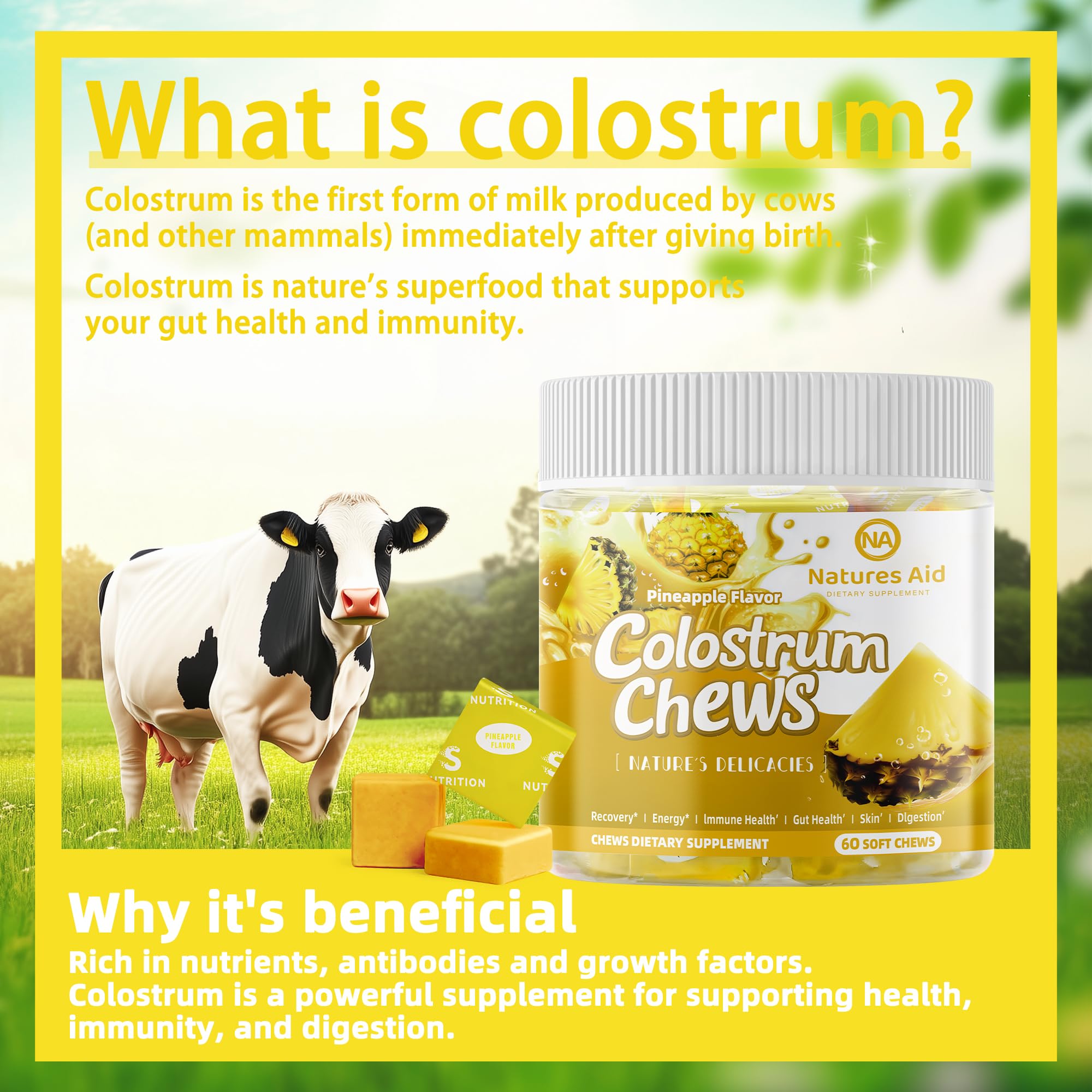 Natures Aid Colostrum Chews Pineapple serving shows easy daily wellness routine
