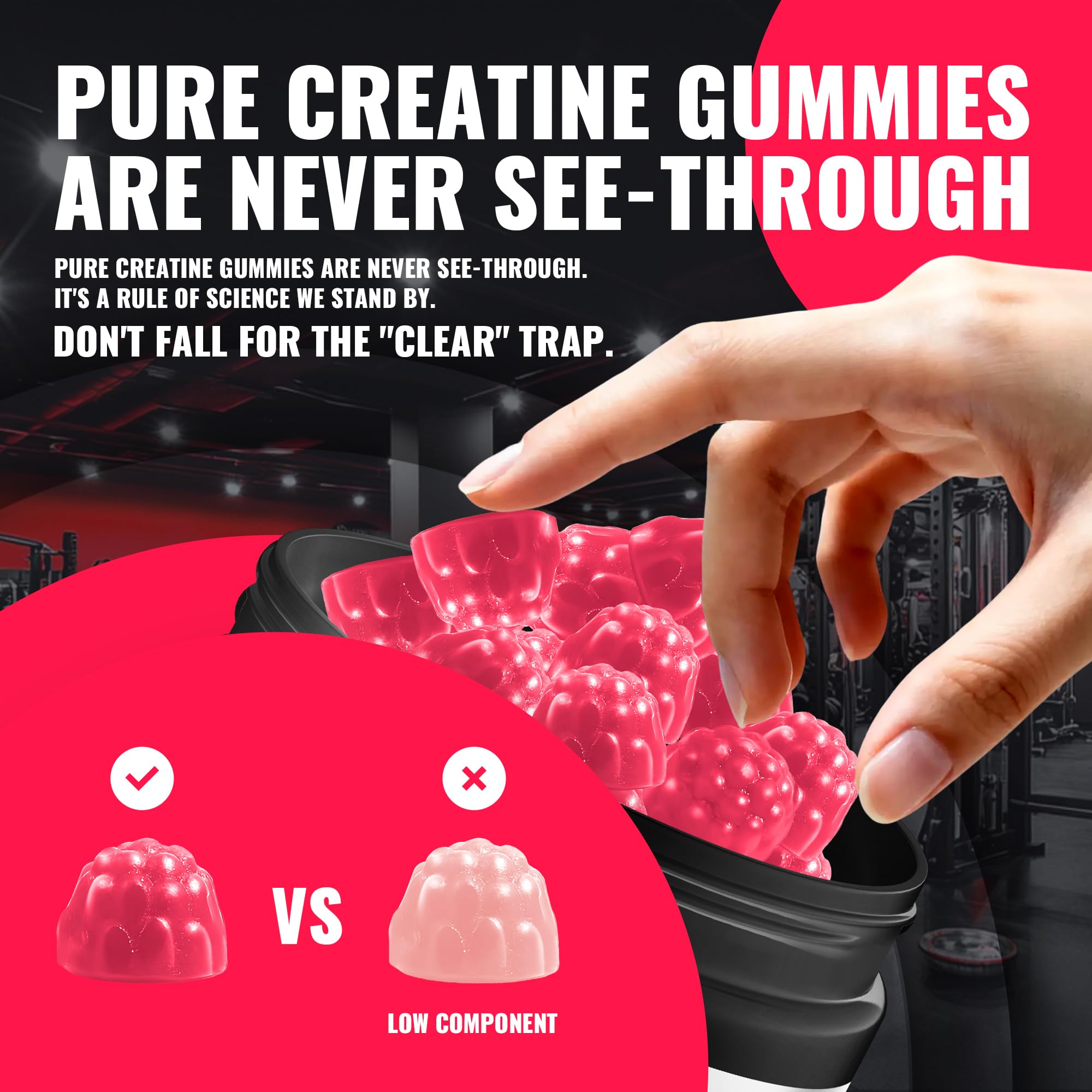 Natures Aid Creatine Gummy label highlights NSF certification and quality manufacturing.
