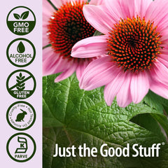 Ingredient panel of Nature's Answer Echinacea and Goldenseal highlighting polyphenols and berberine