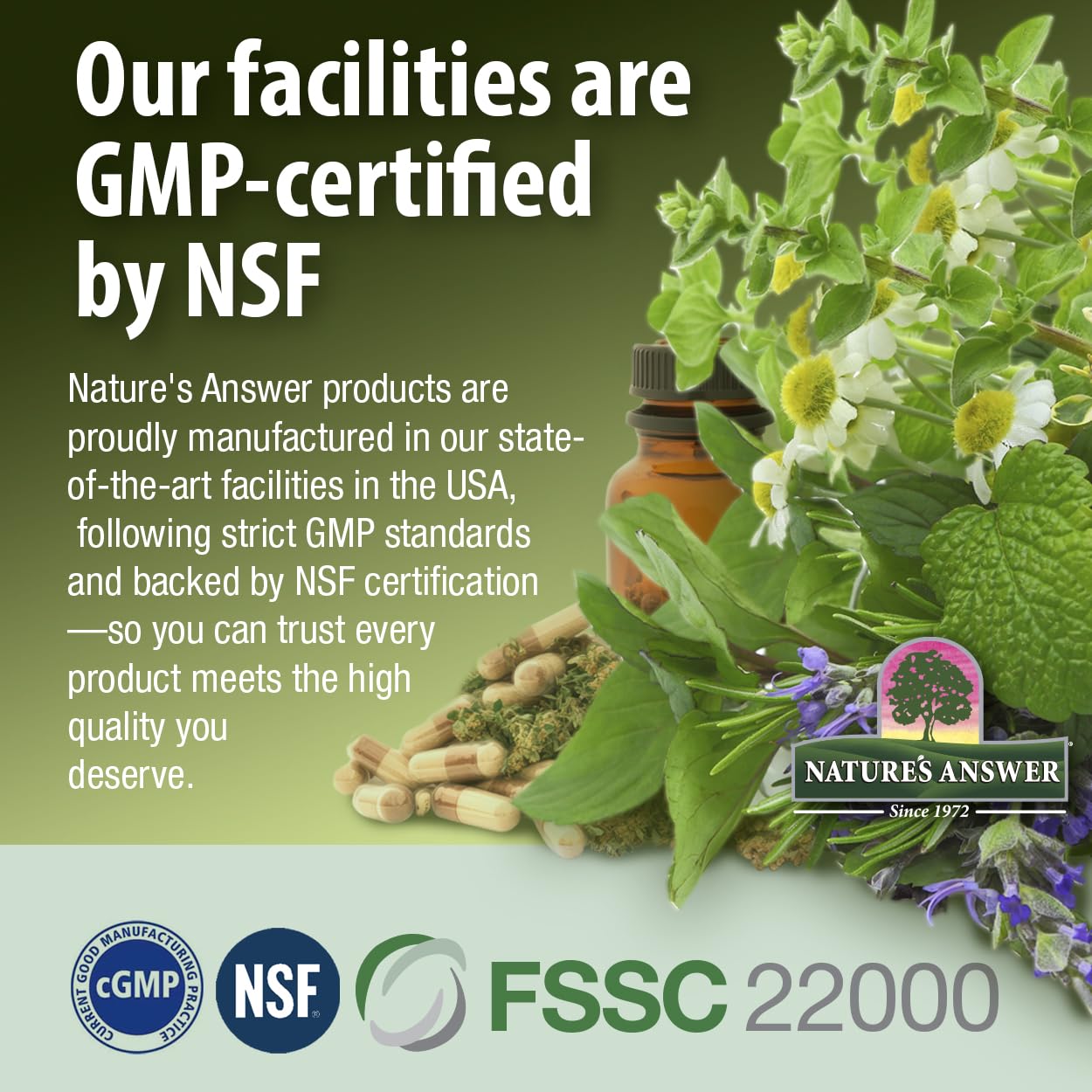 Packaging of Nature's Answer Echinacea and Goldenseal emphasizing purity and certifications