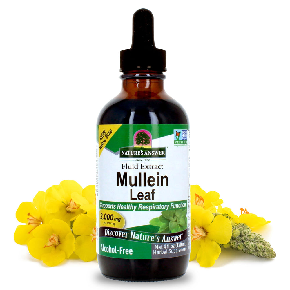 Nature's Answer Mullein bottle front shows alcohol-free respiratory support.