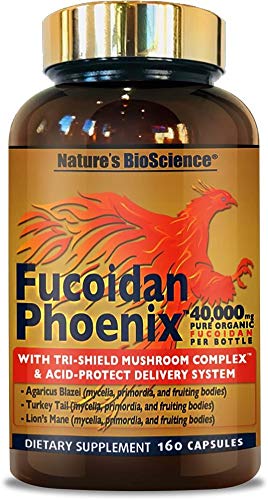 Nature's Bioscience Fucoidan Phoenix bottle with easy-to-swallow capsules for daily use