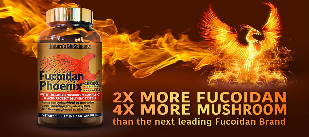 Nature's Bioscience Fucoidan Phoenix capsules shown for clean, acid-resistant delivery