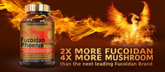 Nature's Bioscience Fucoidan Phoenix capsules shown for clean, acid-resistant delivery