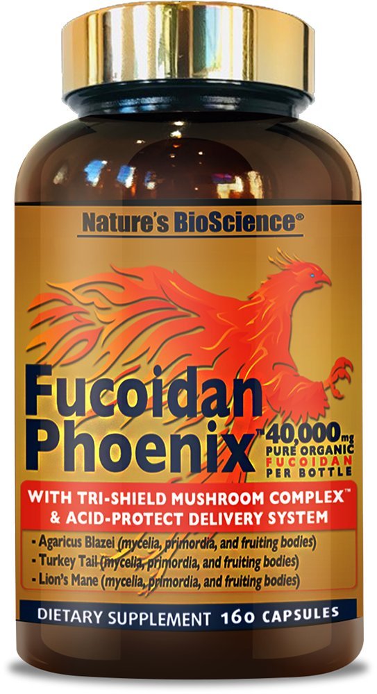 Nature's Bioscience Fucoidan Phoenix packaging emphasizes USA-made GMP quality