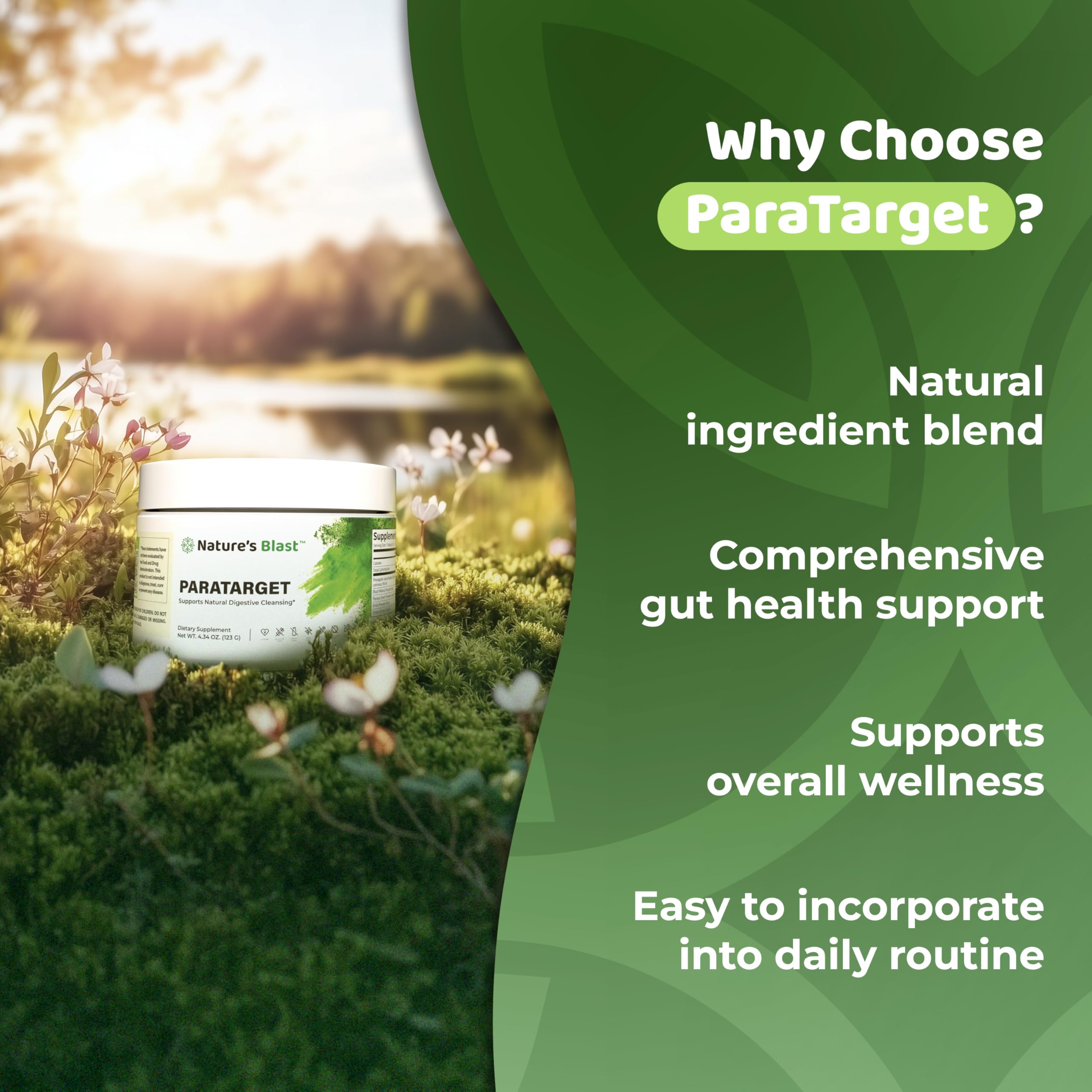 Turmeric root extract in ParaTarget with 95 percent curcuminoids