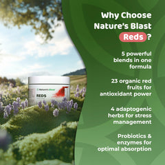 NATURES BLAST Reds adaptogens-herbs promote balance through busy days