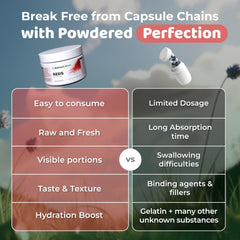 NATURES BLAST Reds probiotic-enzymes-blend supports nutrient absorption