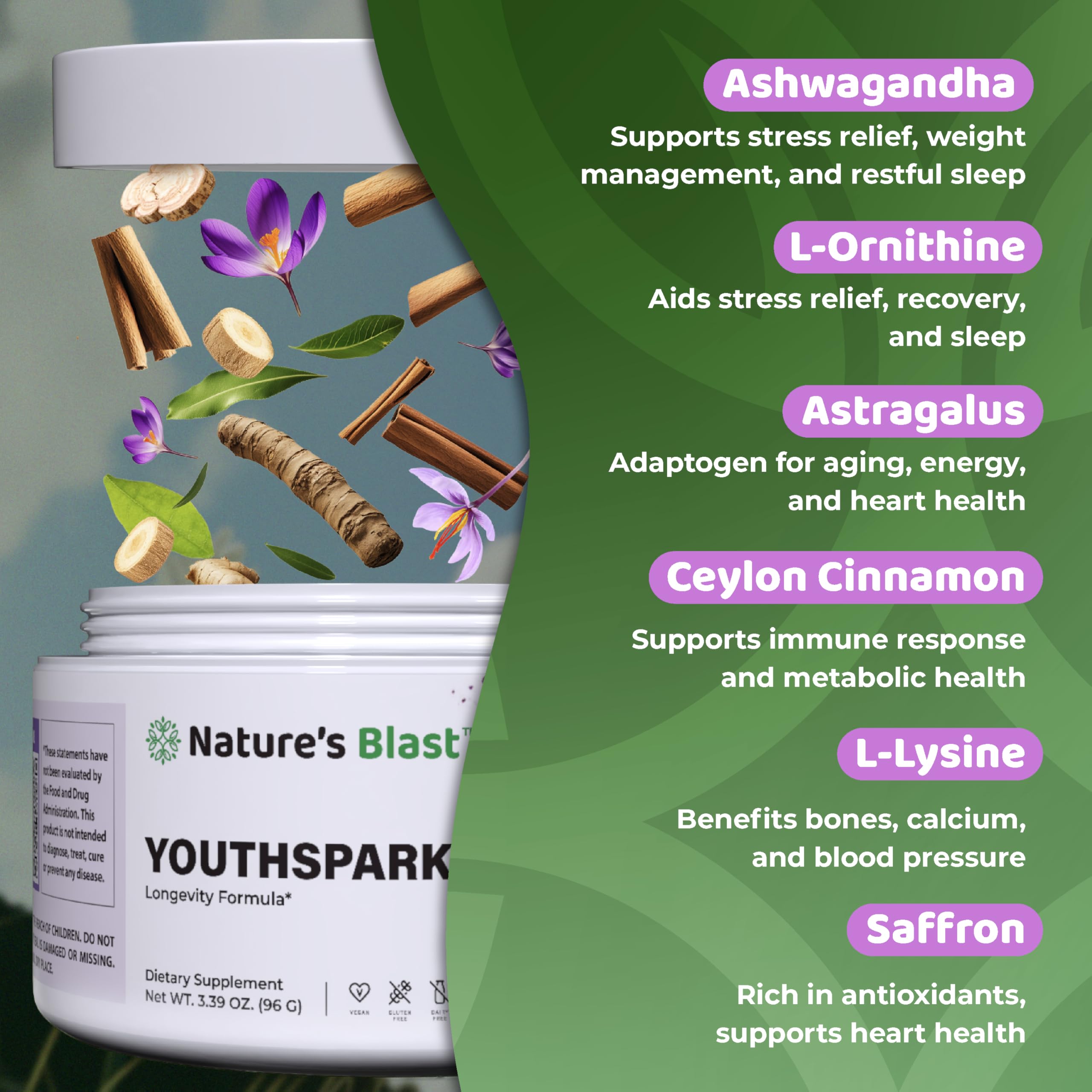 NATURES BLAST YouthSpark vegan-non-gmo seal shown on label for clean ingredients.
