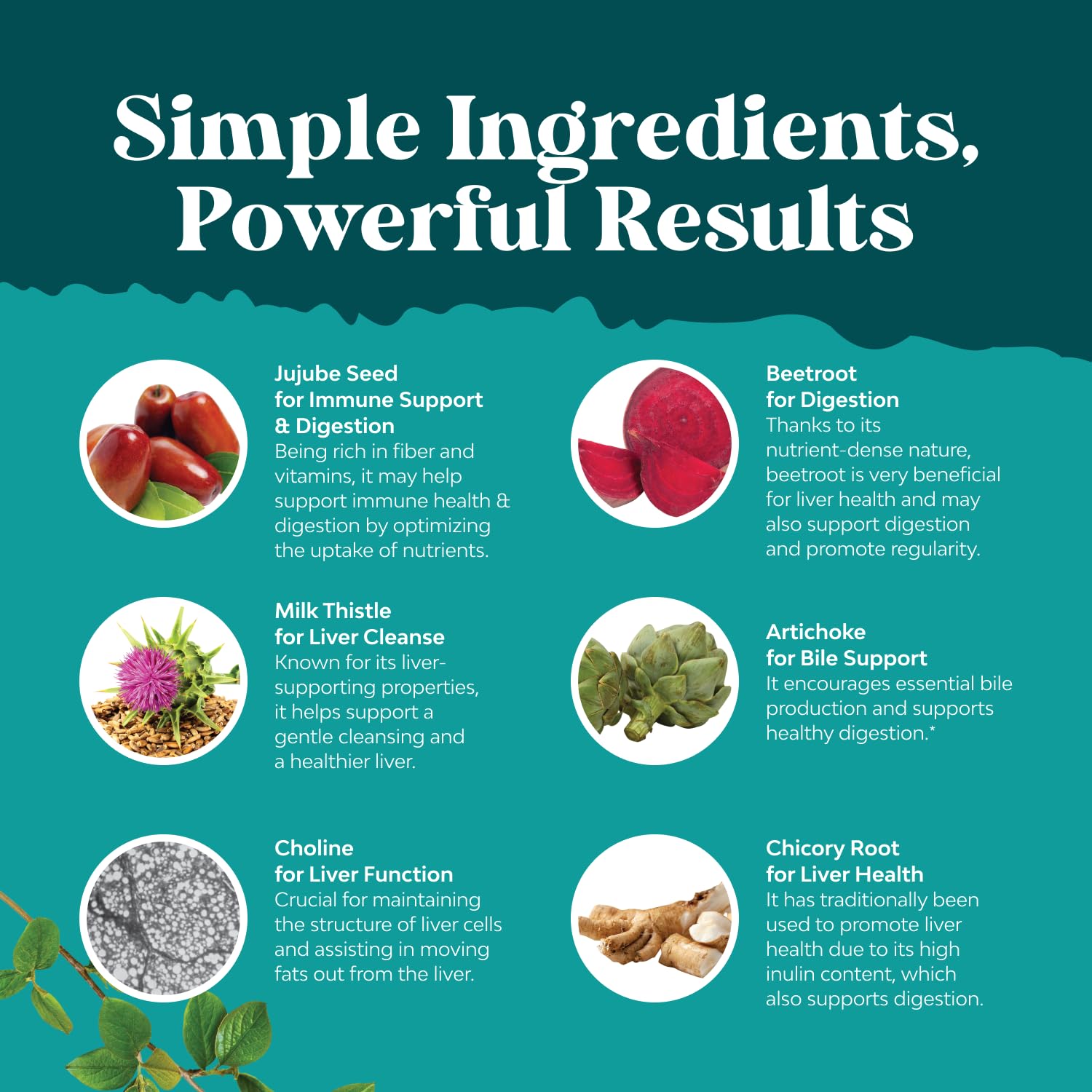 Artichoke leaf extract bottle focuses on digestion support.