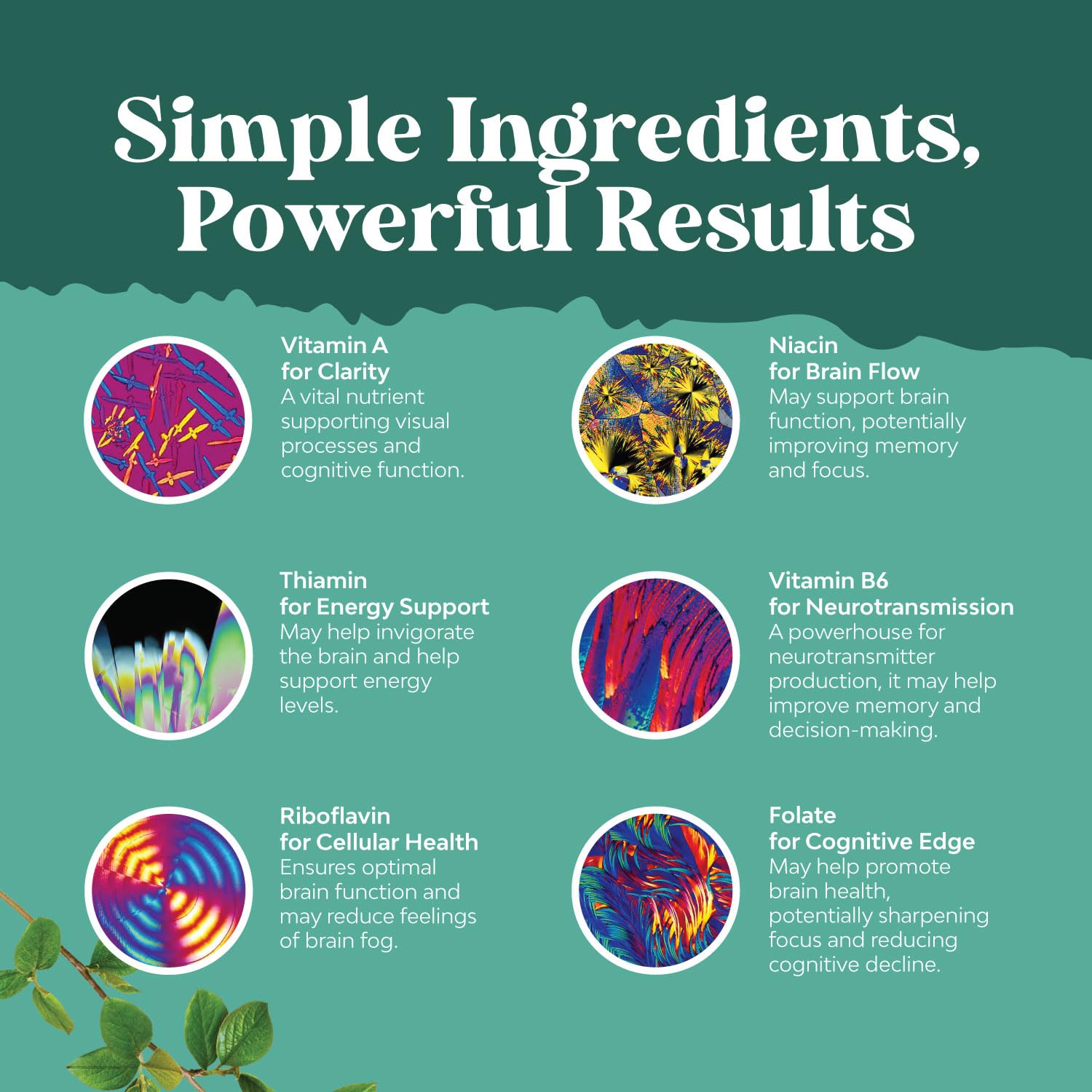Natures Craft ingredients DMAE Huperzine A Bacopa for memory support.