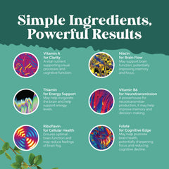Natures Craft ingredients DMAE Huperzine A Bacopa for memory support.