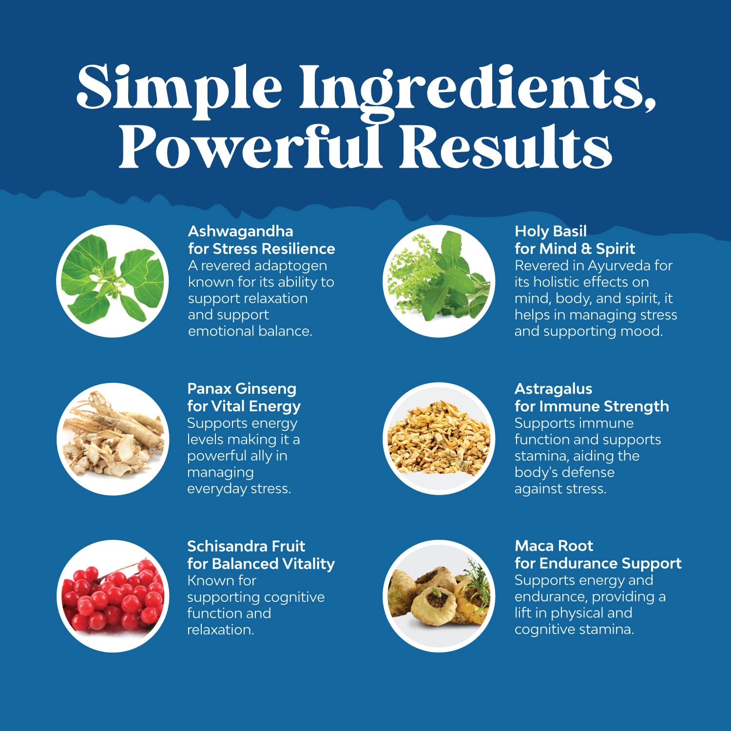 Nature's Craft Eleuthero Root capsules in a clean vegan formula