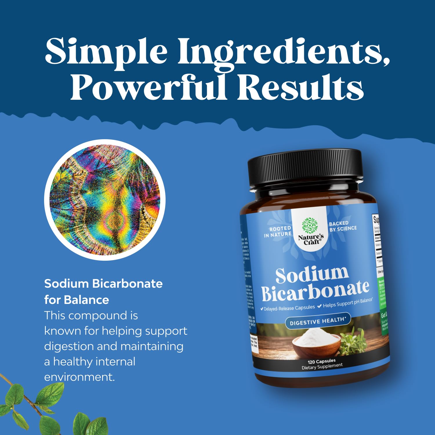 Natures Craft USA-quality production label on sodium bicarbonate capsules.