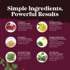 Natures Craft Horsetail plant extract close-up for kidney support.