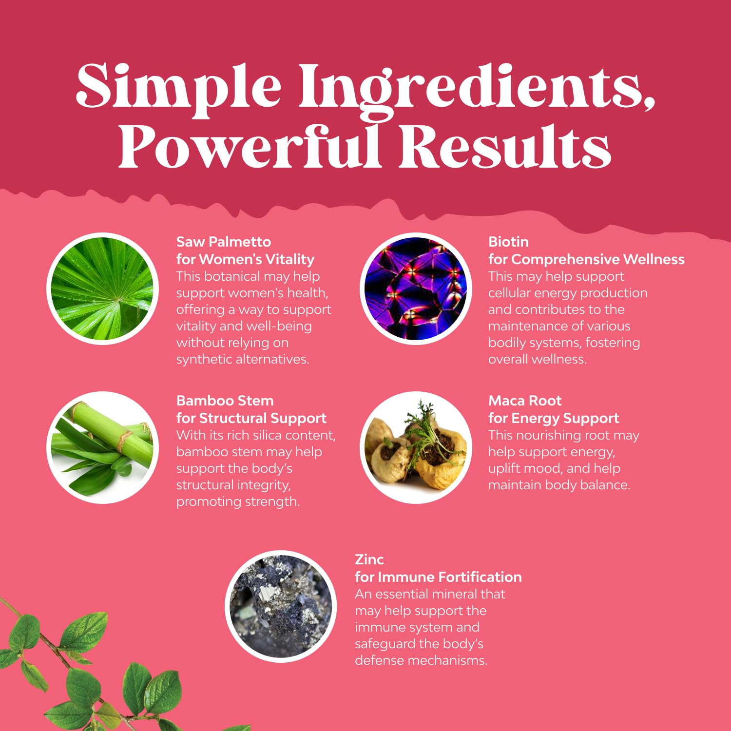 Maca root and biotin ingredients in Natures Craft formula