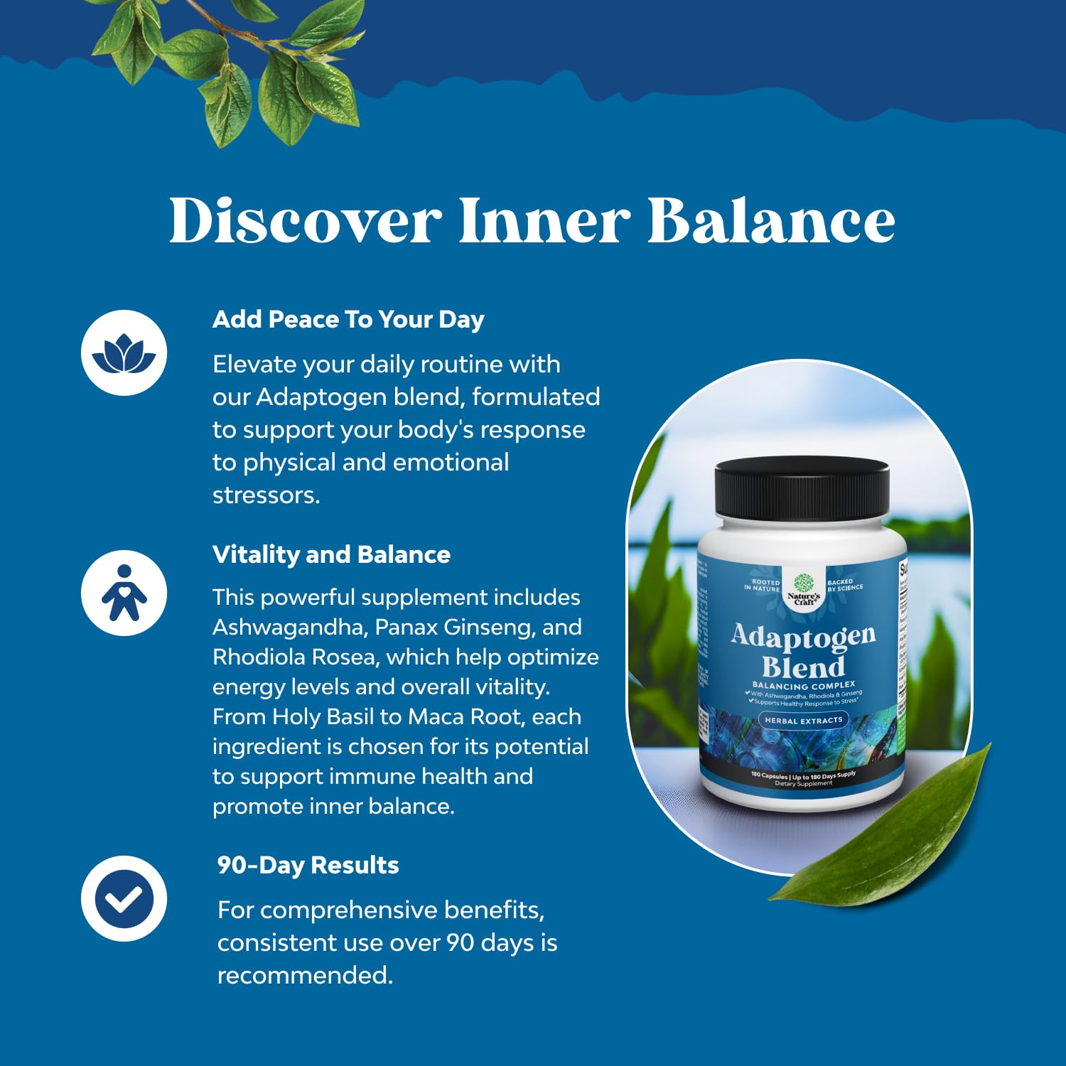 Nature's Craft Maca Root capsules shown for steady energy