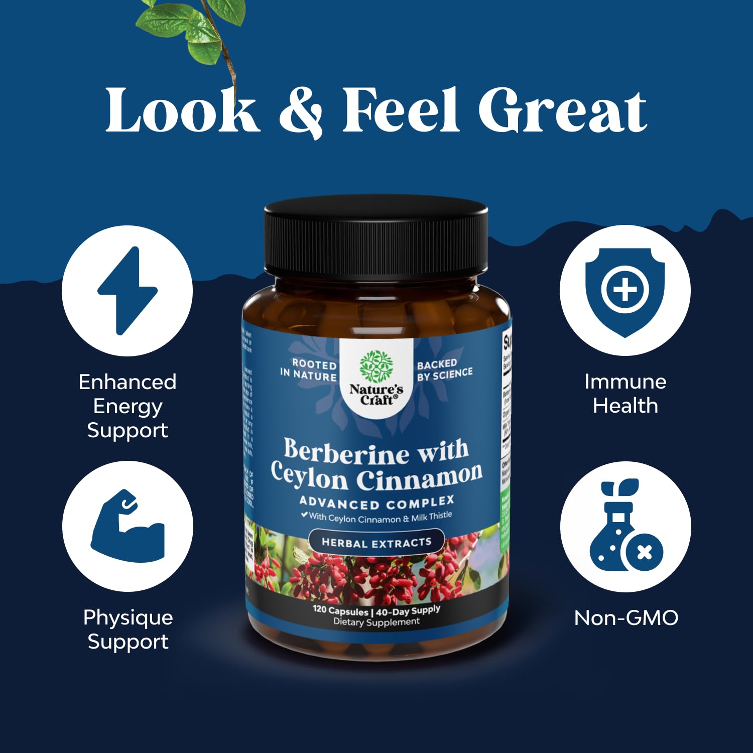 Natures Craft Milk thistle extract with berberine in harmony.