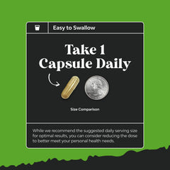Natures Craft nootropic pills image hints at focus and memory enhancement.