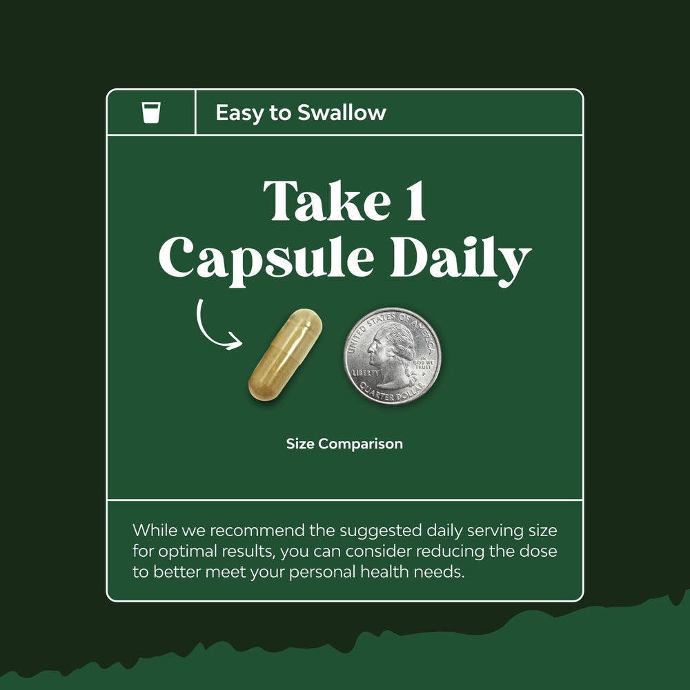 Natures Craft olive leaf capsules on kitchen counter for everyday wellness