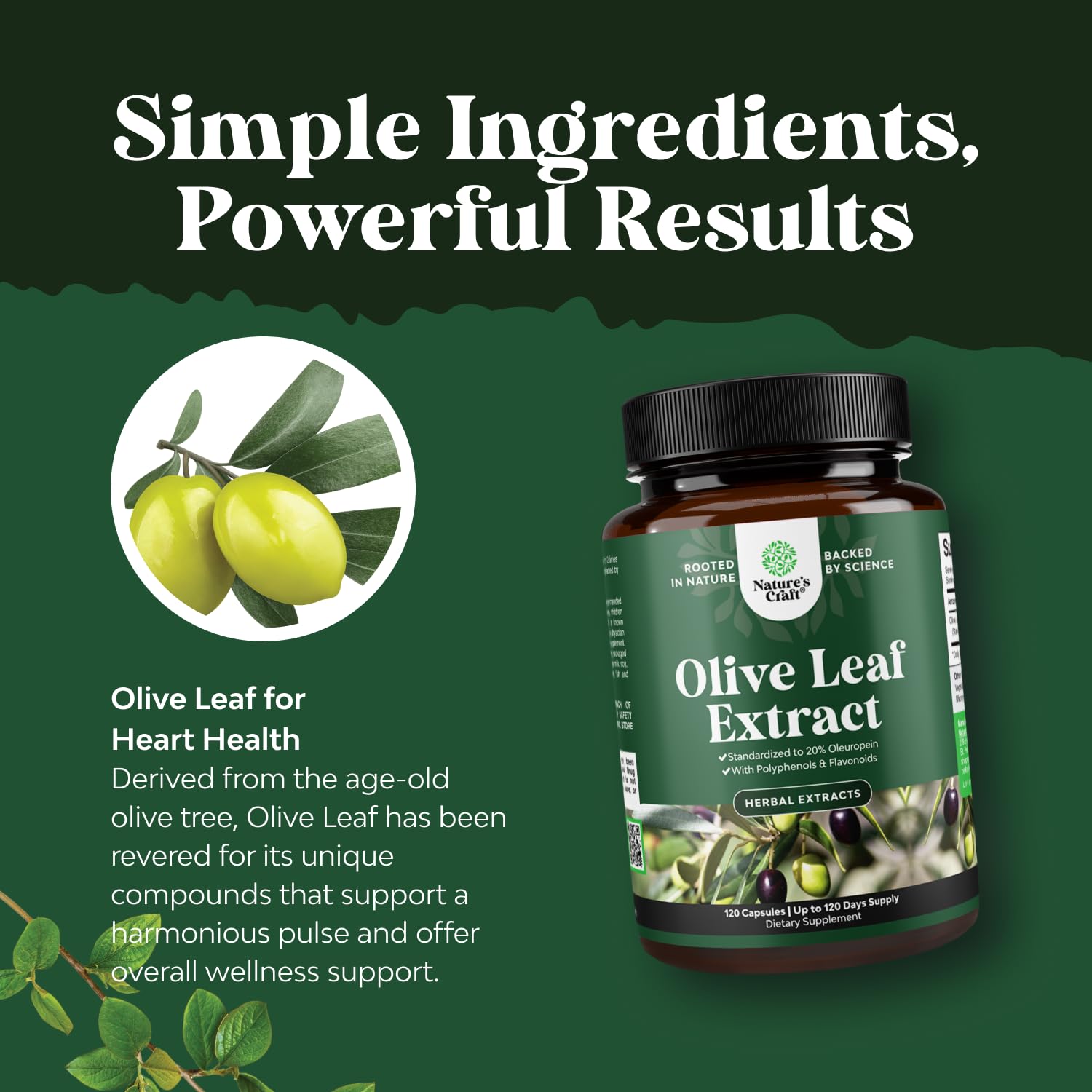Natures Craft olive leaf capsules on white background for convenient daily use