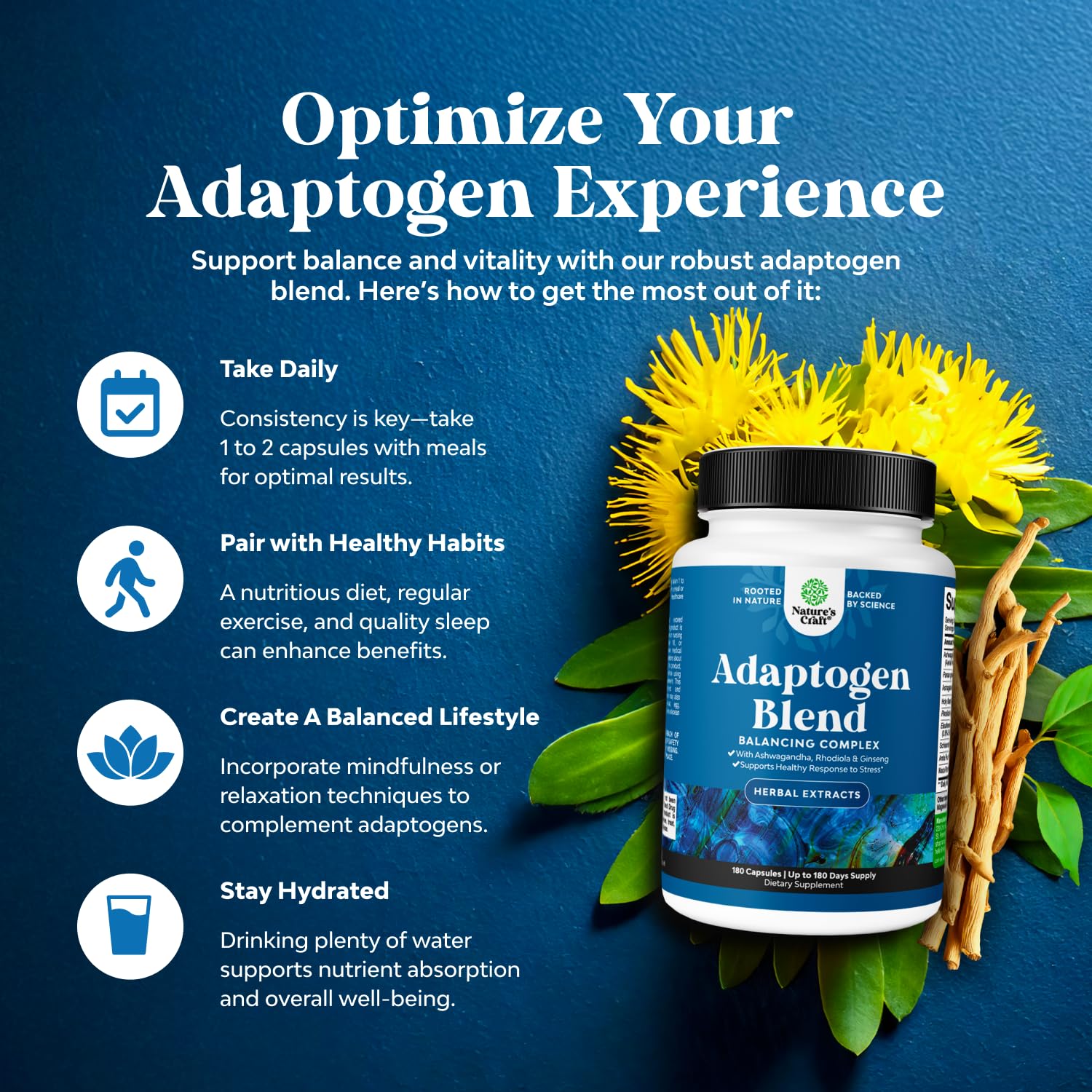 Nature's Craft Panax Ginseng capsules contributing sustained vitality