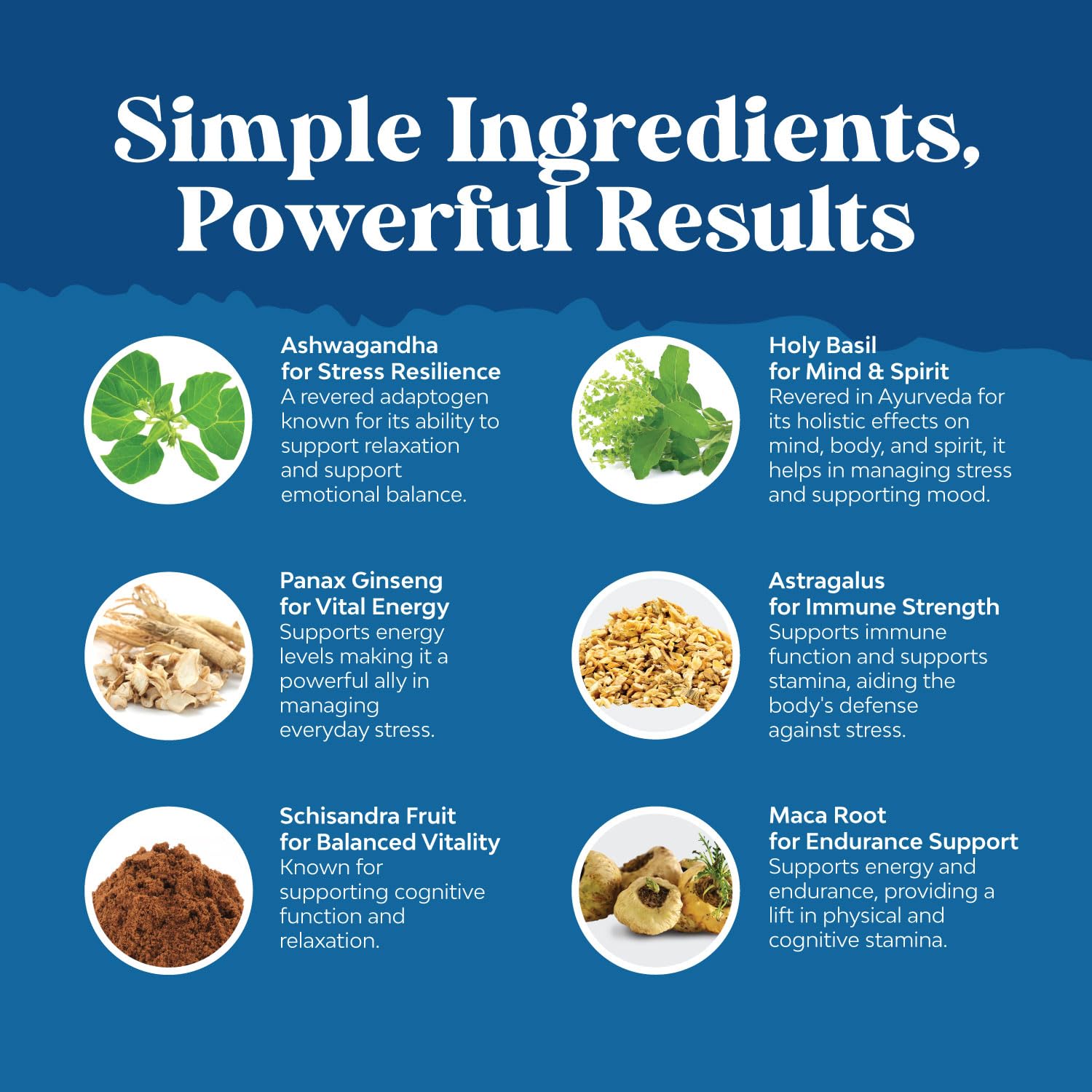 Natures Craft Panax ginseng ingredients label signaling quality