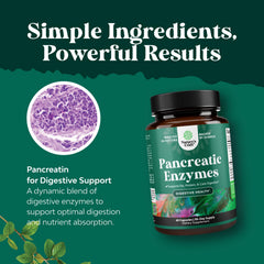Natures Craft Pancreatin packaging displays lab-tested quality.