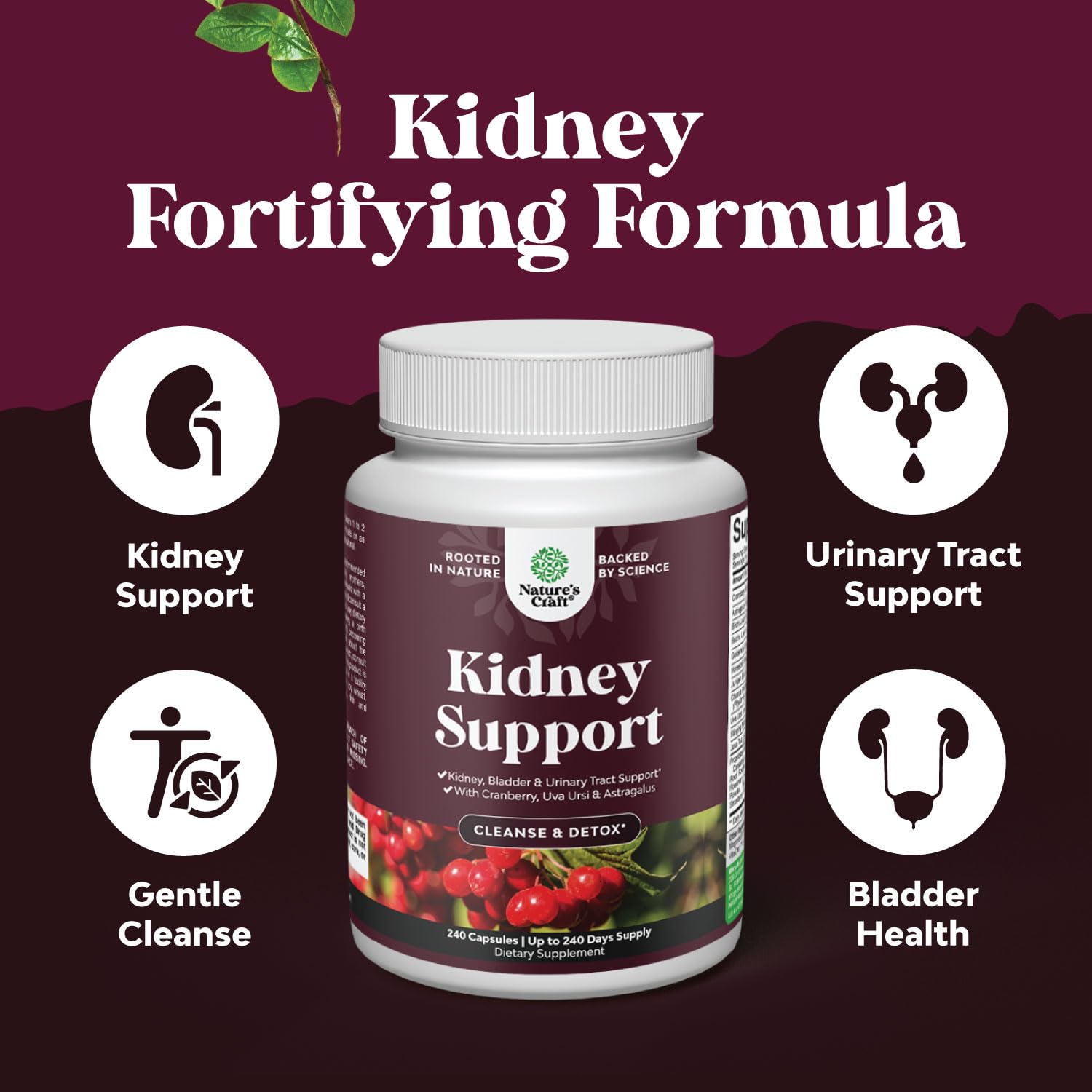 Natures Craft Stinging Nettle ingredient detail aiding fluid balance.